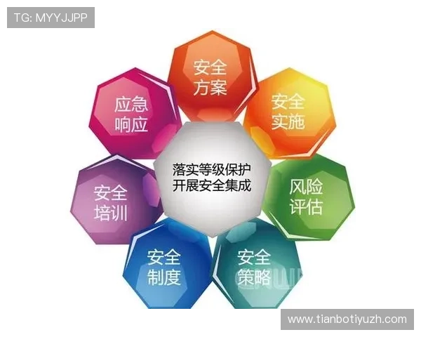 如何快速安全地完成365网站登录，确保个人信息安全不泄露